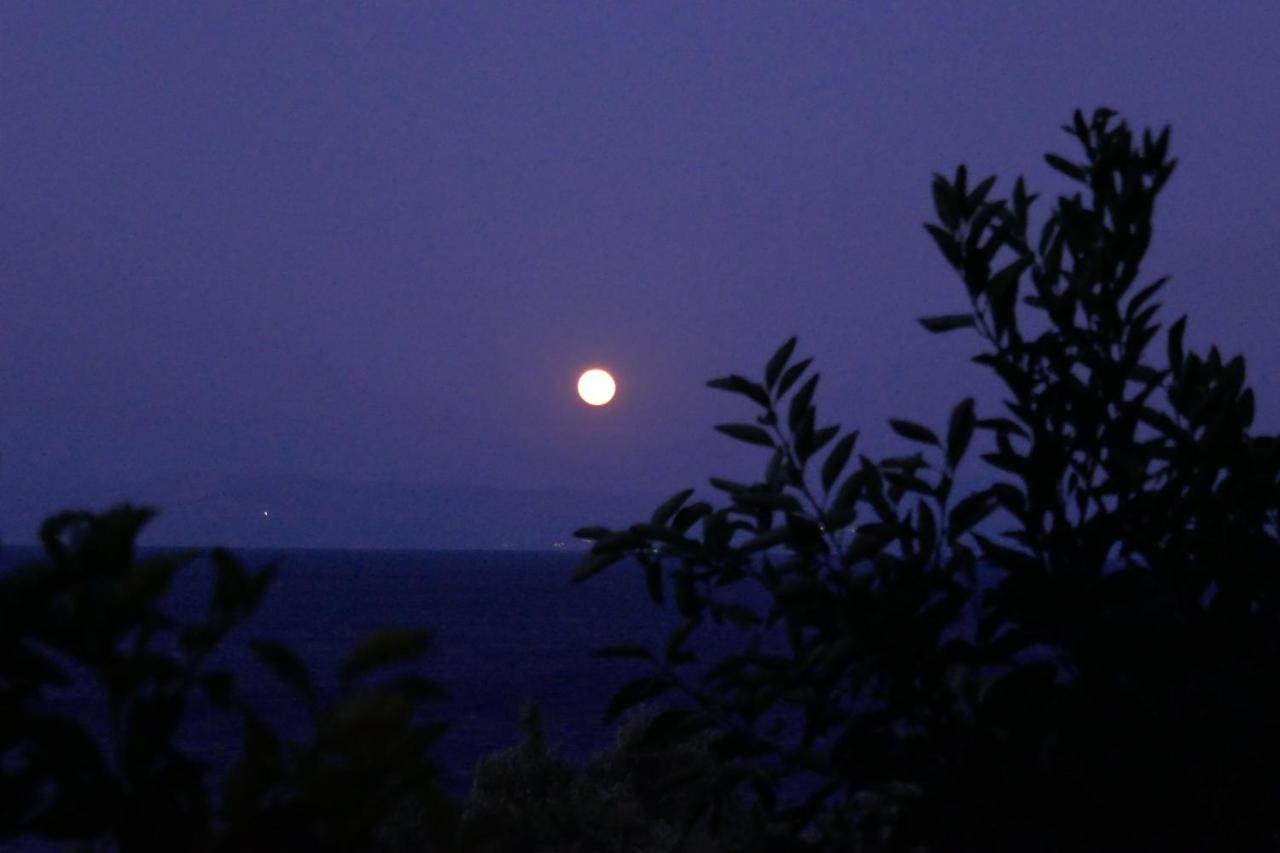 Margarita * Agios Ioannis Peristeron (Corfu)