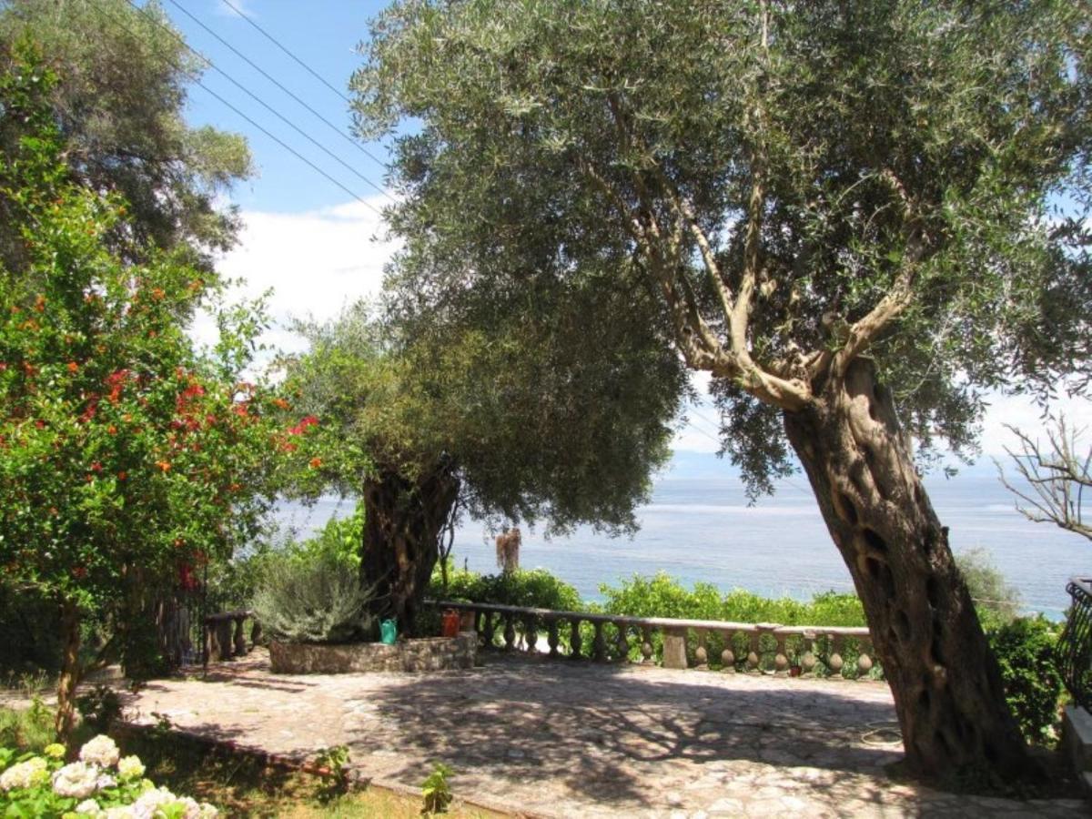 Margarita Agios Ioannis Peristeron (Corfu)