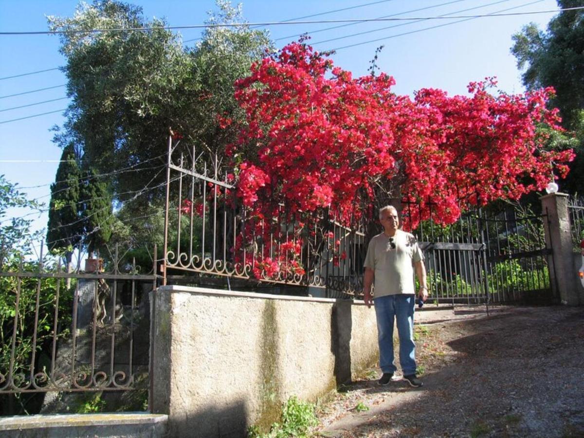 Margarita * Agios Ioannis Peristeron (Corfu)